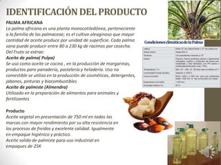 IDENTIFICACIÓNDEL PRODUCTO
Producto
Aceite vegetal en presentación de 750 ml en todas las
marcas con mayor rendimiento por...