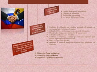  Establecer la obligación de extraditar aplicando el principio de
reciprocidad entre los estados firmantes.
 Señala los Delitos por los cuales es procedente la Extradición
 Menciona las excepciones o extradición de una persona
 Señala las condiciones para extraditar
 Establece los requisitos a cumplir por el Estado requirente para
realizar el procedimiento de extradición.
 Indica la Legislación aplicable.
 Determina la forma de entrega de la persona cuya extradición fue
concedida.
 Tratados Bilaterales o Multilaterales
 Principios de Solidaridad
 Reciprocidad Internacional
 Ley Interna del Derecho Privado.
El derecho Penal sustantivo,
El derecho Procesal Penal
El derecho Internacional Público
 
