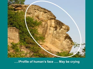 ….!Profile of human’s face …. May be crying

 