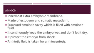 AMNION
 Innermost extra embryonic membrane.
 Made of ectoderm and somatic mesoderm.
 Surround amniotic cavity which is filled with amniotic
fluid.
 It continuously keep the embryo wet and don’t let it dry.
 It protect the embryo from shock.
 Amniotic fluid is taken for amniocentesis.
 