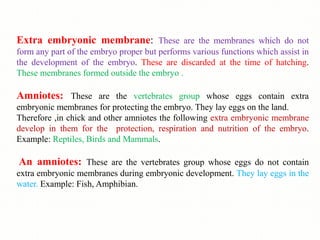 Extra embryonic membrane: These are the membranes which do not
form any part of the embryo proper but performs various functions which assist in
the development of the embryo. These are discarded at the time of hatching.
These membranes formed outside the embryo .
Amniotes: These are the vertebrates group whose eggs contain extra
embryonic membranes for protecting the embryo. They lay eggs on the land.
Therefore ,in chick and other amniotes the following extra embryonic membrane
develop in them for the protection, respiration and nutrition of the embryo.
Example: Reptiles, Birds and Mammals.
An amniotes: These are the vertebrates group whose eggs do not contain
extra embryonic membranes during embryonic development. They lay eggs in the
water. Example: Fish, Amphibian.
 
