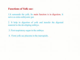 Functions of Yolk sac:
1.It surrounds the yolk. Its main function is in digestion. It
serve as extra embryonic gut.
2. It help in digestion of yolk and transfer the digested
material to the developing embryo.
3. First respiratory organ in the embryo.
4. Form yolk sac placenta in the marsupials.
 