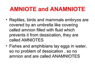 AMNIOTE and ANAMNIOTE
• Reptiles, birds and mammals embryos are
covered by an umbrella like covering
called amnion filled with fluid which
prevents it from dessication, they are
called AMNIOTES
• Fishes and amphibians lay eggs in water,
so no problem of dessication , so no
amnion and are called ANAMNIOTES
 