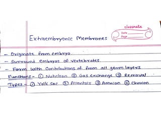 Extraembryonic Membranes 