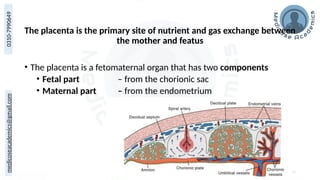medicoseacademics@gmail.com
0310-7990649
The placenta is the primary site of nutrient and gas exchange between
the mother and featus
• The placenta is a fetomaternal organ that has two components
• Fetal part – from the chorionic sac
• Maternal part – from the endometrium
13
 