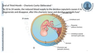 medicoseacademics@gmail.com
0310-7990649
End of Third Month – Chorionic Cavity Obliterated 1
50
20 weeks
By 22 to 24 weeks, the reduced blood supply to the decidua capsularis causes it to
degenerate and disappear, after this chorionic laeve and decidua parietalis fuse2
 