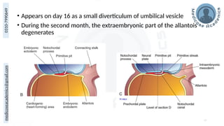 medicoseacademics@gmail.com
0310-7990649
• Appears on day 16 as a small diverticulum of umbilical vesicle
• During the second month, the extraembryonic part of the allantois
degenerates
67
 