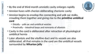 medicoseacademics@gmail.com
0310-7990649
• By the end of third month amniotic cavity enlarges rapidly
• Amnion fuses with chorion obliterating chorionic cavity
• Amnion begins to envelop the connecting and yolk sac stalks,
crowding them together and giving rise to the primitive umbilical
cord
• Distally – yolk sac and umbilical vesicles
• Proximally – intestinal loops and remnants of allantois
• Cavity in the cord is obliterated after retraction of physiological
umbilical hernia
• Later allantois and the vitelline duct and its vessels are also
obliterated, all that remains in the cord are the umbilical vessels
surrounded by Wharton jelly
73
 