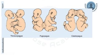 medicoseacademics@gmail.com
0310-7990649
 