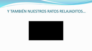 Y TAMBIÉN NUESTROS RATOS RELAJADITOS…
 