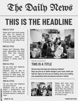 SLIDESMANIA.COM
The Daily News
Koalas don’t have much energy
and, when not feasting on
leaves, they spend their time
dozing in the branches. Believe
it or not, they can sleep for up
to 18 hours a day!
Pandas don’t hibernate. When
winter approaches, they head
lower down their mountain
homes to warmer
temperatures, where they
continue to chomp away on
bamboo!
Did you know that elephants
can sense storms?
Elephants may be able to
detect a thunderstorm from
hundreds of miles away, and
will head towards it, looking for
water.
THIS IS A TITLE
THIS IS A TITLE
THIS IS A TITLE
THIS IS THE HEADLINE
Elephants can smell storms.
THIS IS A TITLE
Did you know that dogs can smell your feelings?
Dogs can pick up on subtle changes in your scent, which can
help him figure out how you are feeling, such as by smelling
your perspiration when you become nervous or fearful.
2020-01-26 THIRD EDITION
Koalas don’t have much
energy and, when not
feasting on leaves, they
spend their time dozing in
the branches. Believe it or
not, they can sleep for up
to 18 hours a day!
Did you know that elephants
can sense storms?
Elephants may be able to
detect a thunderstorm from
hundreds of miles away, and
will head towards it, looking for
water.
THIS IS A TITLE
 