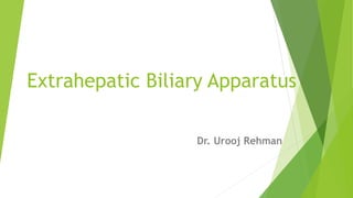 Extrahepatic Biliary Apparatus
Dr. Urooj Rehman
 