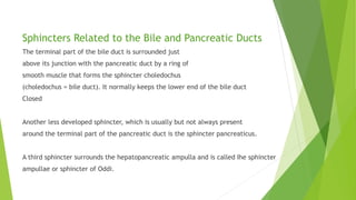 Sphincters Related to the Bile and Pancreatic Ducts
The terminal part of the bile duct is surrounded just
above its junction with the pancreatic duct by a ring of
smooth muscle that forms the sphincter choledochus
(choledochus = bile duct). It normally keeps the lower end of the bile duct
Closed
Another less developed sphincter, which is usually but not always present
around the terminal part of the pancreatic duct is the sphincter pancreaticus.
A third sphincter surrounds the hepatopancreatic ampulla and is called Ihe sphincter
ampullae or sphincter of Oddi.
 