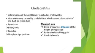 Extrahepatic Biliary Apparatus