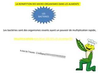 LES DIFFERENTS MICRO-ORGANISMES
LES
BACTERIES
Les bactéries sont des organismes vivants ayant un pouvoir de multiplication rapide,
MULTIPLICATION PAR DEUX TOUTES LES 20 MINUTES
LA REPARTITION DES MICRO-ORGANISMES DANS LES ALIMENTS
10
 