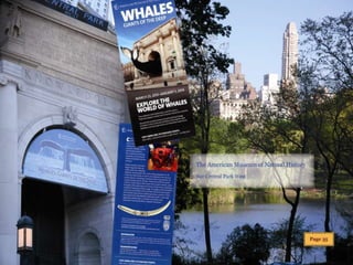 Extrait du carnet de voyage  new york