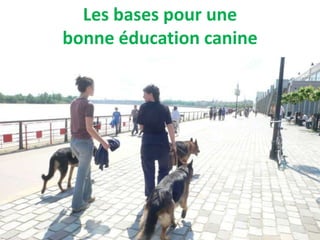 Les bases pour une
bonne éducation canine
 