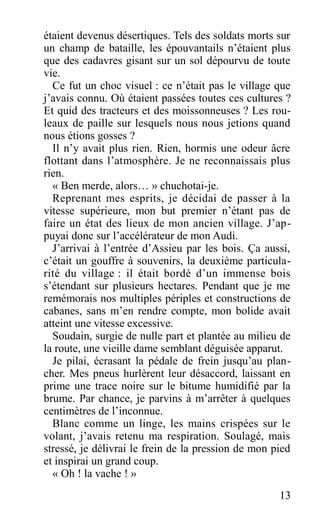 étaient devenus désertiques. Tels des soldats morts sur
un champ de bataille, les épouvantails n’étaient plus
que des cadavres gisant sur un sol dépourvu de toute
vie.
Ce fut un choc visuel : ce n’était pas le village que
j’avais connu. Où étaient passées toutes ces cultures ?
Et quid des tracteurs et des moissonneuses ? Les rou-
leaux de paille sur lesquels nous nous jetions quand
nous étions gosses ?
Il n’y avait plus rien. Rien, hormis une odeur âcre
flottant dans l’atmosphère. Je ne reconnaissais plus
rien.
« Ben merde, alors… » chuchotai-je.
Reprenant mes esprits, je décidai de passer à la
vitesse supérieure, mon but premier n’étant pas de
faire un état des lieux de mon ancien village. J’ap-
puyai donc sur l’accélérateur de mon Audi.
J’arrivai à l’entrée d’Assieu par les bois. Ça aussi,
c’était un gouffre à souvenirs, la deuxième particula-
rité du village : il était bordé d’un immense bois
s’étendant sur plusieurs hectares. Pendant que je me
remémorais nos multiples périples et constructions de
cabanes, sans m’en rendre compte, mon bolide avait
atteint une vitesse excessive.
Soudain, surgie de nulle part et plantée au milieu de
la route, une vieille dame semblant déguisée apparut.
Je pilai, écrasant la pédale de frein jusqu’au plan-
cher. Mes pneus hurlèrent leur désaccord, laissant en
prime une trace noire sur le bitume humidifié par la
brume. Par chance, je parvins à m’arrêter à quelques
centimètres de l’inconnue.
Blanc comme un linge, les mains crispées sur le
volant, j’avais retenu ma respiration. Soulagé, mais
stressé, je délivrai le frein de la pression de mon pied
et inspirai un grand coup.
« Oh ! la vache ! »
13
 