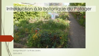 Introduction à la botanique du Potager
Edwige RIALLOT – Le Fil des Jardins
22/01/2015
 