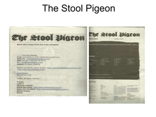 The Stool Pigeon