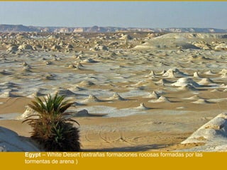 Egypt  – White Desert ( extrañas formaciones rocosas formadas por las tormentas de arena   ) 