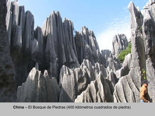 China  –  El Bosque de Piedras  ( 400 kilómetros cuadrados de piedra ) 