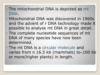  The mitochondrial DNA is depicted as mt
DNA.
 Mitochondrial DNA was discovered in 1960s
and the advent of r DNA technology made it
possible to analyse mt DNA in great detail.
 The complete nucleotide sequences of mt
DNA of many species have now been
determined.
 The mt DNA is a circular molecule and
varies from n 16.5 kb (mammals) to100 kb
or more(higher plants) in length.
 