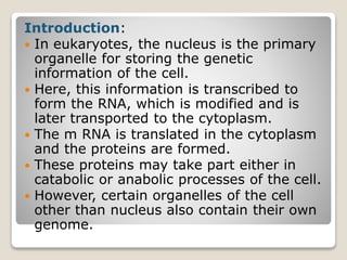 Introduction:
 In eukaryotes, the nucleus is the primary
organelle for storing the genetic
information of the cell.
 Here, this information is transcribed to
form the RNA, which is modified and is
later transported to the cytoplasm.
 The m RNA is translated in the cytoplasm
and the proteins are formed.
 These proteins may take part either in
catabolic or anabolic processes of the cell.
 However, certain organelles of the cell
other than nucleus also contain their own
genome.
 