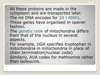  All these proteins are made in the
cytoplasm and are transported later.
 The mt DNA encodes for 24 t RNA’s.
 These genes have organised in operon
fashion.
 The genetic code of mitochondria differs
from that of the nucleus in several
aspects.
 For example, UGA specifies tryptophan in
mitochondria in mitochondria in place of
chain termination(nuclear code).
 Similarly, AUA codes for methionine rather
than isoleucine.
 