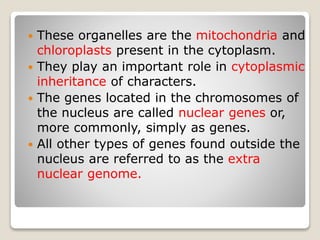  These organelles are the mitochondria and
chloroplasts present in the cytoplasm.
 They play an important role in cytoplasmic
inheritance of characters.
 The genes located in the chromosomes of
the nucleus are called nuclear genes or,
more commonly, simply as genes.
 All other types of genes found outside the
nucleus are referred to as the extra
nuclear genome.
 