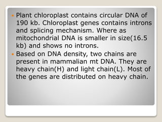  Plant chloroplast contains circular DNA of
190 kb. Chloroplast genes contains introns
and splicing mechanism. Where as
mitochondrial DNA is smaller in size(16.5
kb) and shows no introns.
 Based on DNA density, two chains are
present in mammalian mt DNA. They are
heavy chain(H) and light chain(L). Most of
the genes are distributed on heavy chain.
 