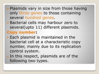  Plasmids vary in size from those having
only three genes to those containing
several hundred genes.
 Bacterial cells may harbour zero to
several(upto 11) different plasmids.
Copy number:
 Each plasmid is maintained in the
bacterial cell at a characteristic copy
number, mainly due to its replication
control system.
 In this respect, plasmids are of the
following two types.
 