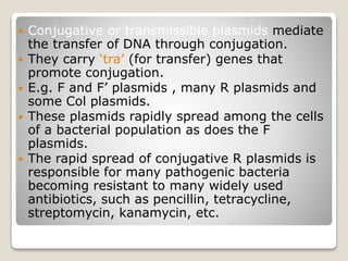  Conjugative or transmissible plasmids mediate
the transfer of DNA through conjugation.
 They carry ‘tra’ (for transfer) genes that
promote conjugation.
 E.g. F and F’ plasmids , many R plasmids and
some Col plasmids.
 These plasmids rapidly spread among the cells
of a bacterial population as does the F
plasmids.
 The rapid spread of conjugative R plasmids is
responsible for many pathogenic bacteria
becoming resistant to many widely used
antibiotics, such as pencillin, tetracycline,
streptomycin, kanamycin, etc.
 