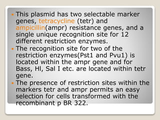  This plasmid has two selectable marker
genes, tetracycline (tetr) and
ampicillin(ampr) resistance genes, and a
single unique recognition site for 12
different restriction enzymes.
 The recognition site for two of the
restriction enzymes(Pst1 and Pvu1) is
located within the ampr gene and for
Bass, Hl, Sal I etc. are located within tetr
gene.
 The presence of restriction sites within the
markers tetr and ampr permits an easy
selection for cells transformed with the
recombinant p BR 322.
 