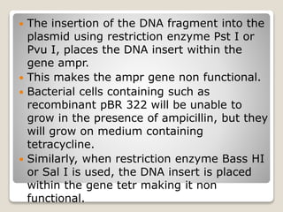  The insertion of the DNA fragment into the
plasmid using restriction enzyme Pst I or
Pvu I, places the DNA insert within the
gene ampr.
 This makes the ampr gene non functional.
 Bacterial cells containing such as
recombinant pBR 322 will be unable to
grow in the presence of ampicillin, but they
will grow on medium containing
tetracycline.
 Similarly, when restriction enzyme Bass HI
or Sal I is used, the DNA insert is placed
within the gene tetr making it non
functional.
 