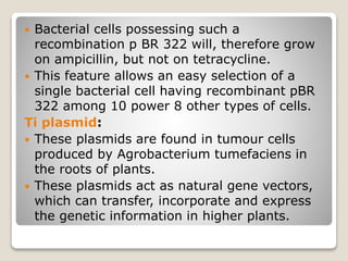  Bacterial cells possessing such a
recombination p BR 322 will, therefore grow
on ampicillin, but not on tetracycline.
 This feature allows an easy selection of a
single bacterial cell having recombinant pBR
322 among 10 power 8 other types of cells.
Ti plasmid:
 These plasmids are found in tumour cells
produced by Agrobacterium tumefaciens in
the roots of plants.
 These plasmids act as natural gene vectors,
which can transfer, incorporate and express
the genetic information in higher plants.
 