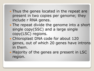  Thus the genes located in the repeat are
present in two copies per genome; they
include r RNA genes.
 The repeat divide the genome into a short
single copy(SSC) and a large single
copy(LSC) regions.
 Chloroplast DNA code for about 120
genes, out of which 20 genes have introns
in them.
 Majority of the genes are present in LSC
region.
 