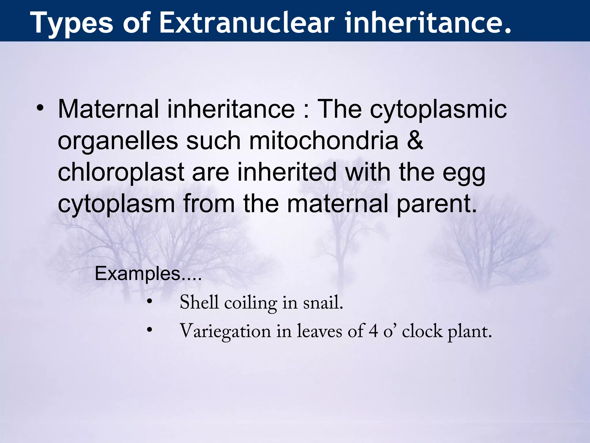 Extranuclear inheritance | PPT | Genetics | Science