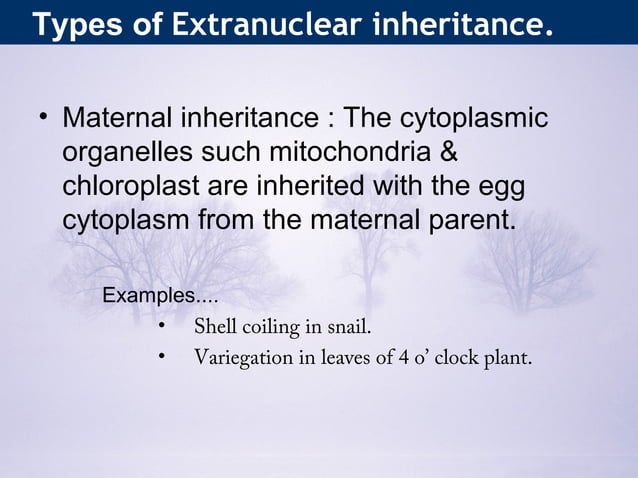 Extranuclear Extranukleäre Gene _ TEIL I Gene, Chromosomen und Vererbungslehre 1 – HARO
