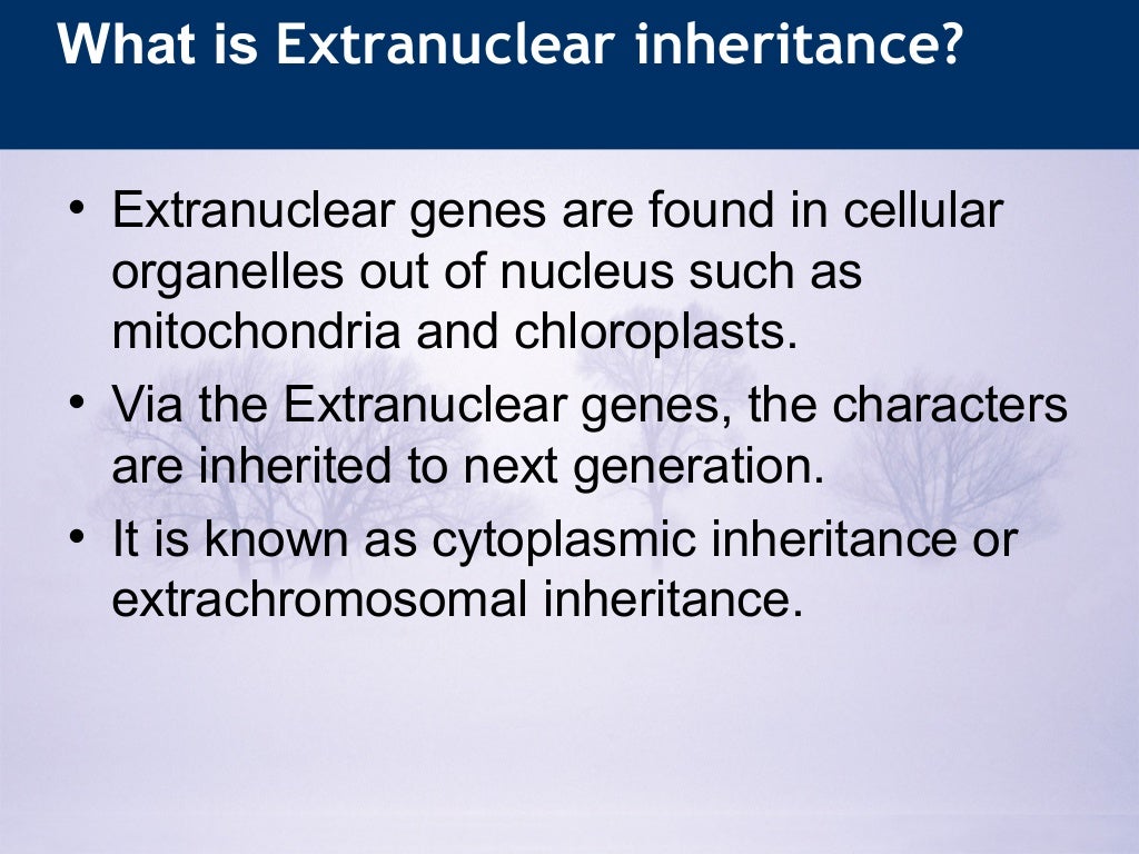Extranuclear inheritance
