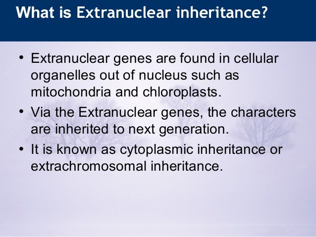 Extranuclear inheritance