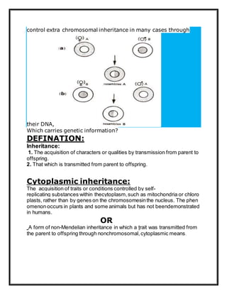 Extranuclear inheritance | DOCX | Genetics | Science