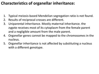 Characteristics of organellar inheritance:
1. Typical meiosis-based Mendelian segregation ratio is not found.
2. Results o...