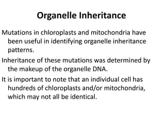 Organelle Inheritance
Mutations in chloroplasts and mitochondria have
been useful in identifying organelle inheritance
pat...