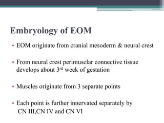 Eom Table Extraoclar muscles (Anatomy & physiology) | PPTX