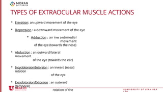 extra ocular muscle and eye hygine1.pptx