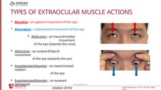 Inward Rotation Of Eye extra ocular muscle and eye hygine1.pptx