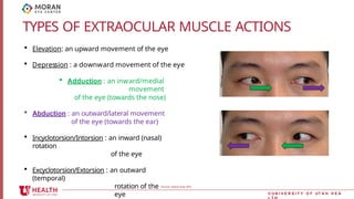 extra ocular muscle and eye hygine1.pptx
