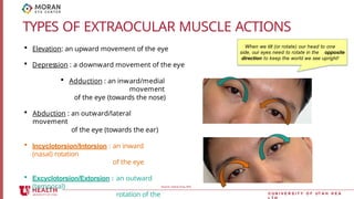 extra ocular muscle and eye hygine1.pptx