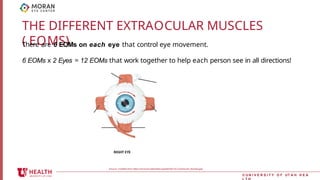 Eom Table extra ocular muscle and eye hygine1.pptx